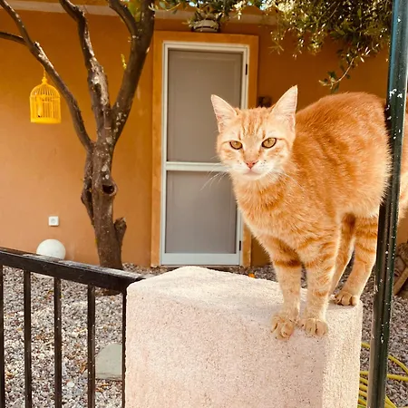 Casa de Férias Bananahouse Kefalonia Island