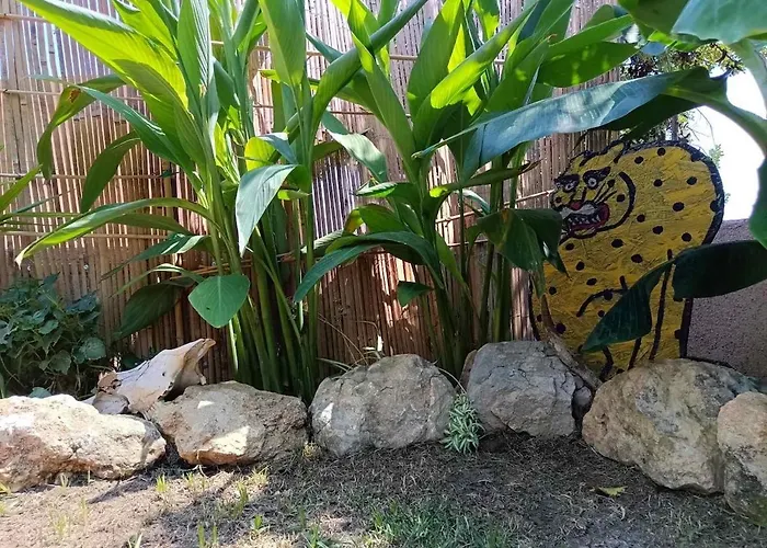 Bananahouse